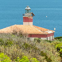 Visit to the Lighthouse